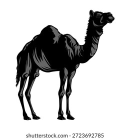 Arte vectorial de camello de dromedario llamativo: una ilustración detallada de un majestuoso animal del desierto, proporcionado como un archivo EPS de alta calidad, totalmente editable y aislado para todas sus necesidades de diseño creativo.