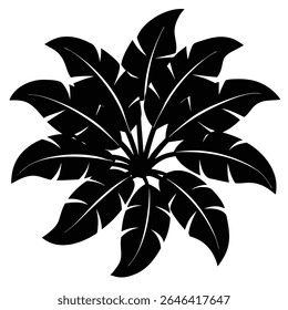 Striking monochrome depiction of a stylized banana plant's silhouette evokes tropical vibes. Isolated against a stark transparent background, the design captures essential natural elegance.