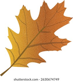 A striking oak tree leaf illustration, with rich green hues and bold, lobed contours, radiates natural strength and elegance. Its detailed, earthy design is perfect for rustic, botanical, or eco-theme