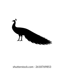 a striking peacock silhouette, perfect for adding an elegant touch to your designs. use this vector for print, decoration, and creative projects