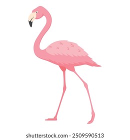 Der auffallend rosafarbene Flamingo steht hoch mit seinen schlanken Beinen und präsentiert seine lebendigen Federn und seinen einzigartigen Schnabel vor einer schlichten Kulisse, die natürliche Anmut und Schönheit verkörpert.