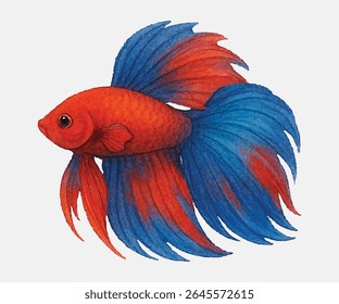 Striking red and blue betta fish with elegant, flowing fins and vivid details ideal for aquatic art, pet-themed designs, or digital decor that highlights color, motion, and graceful beauty.
