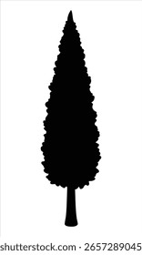 A striking silhouette of a cypress tree, presented in a clean, minimalist vector style. Ideal for nature and landscape themes.