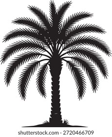 A striking silhouette of a date palm tree against a neutral background