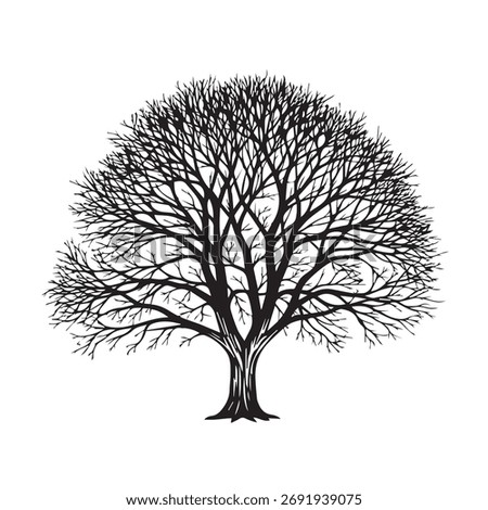 A striking silhouette of a deciduous tree with intricate, bare branches, showcasing the beauty of its natural structure during the winter or dormant season.