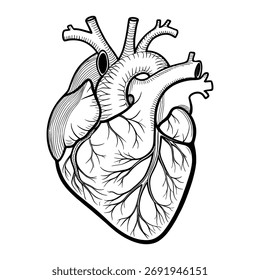 A striking silhouette design, likely abstract or symbolic, rendered with bold lines and a limited color palette, suitable for graphic design applications.