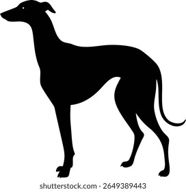 Uma impressionante imagem de silhueta de um galgo, capturando a forma elegante e construção muscular desta raça distinta. O cachorro está de pé em um perfil contra um pano de fundo brilhante.