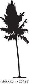 A striking silhouette of palm trees, rendered in a minimalist style. The design features a clean, graphic aesthetic, perfect for various applications.
