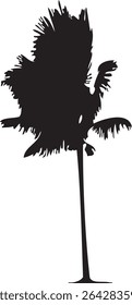 A striking silhouette of palm trees, rendered in a clean and minimalist style. The design features a strong contrast between the black silhouettes