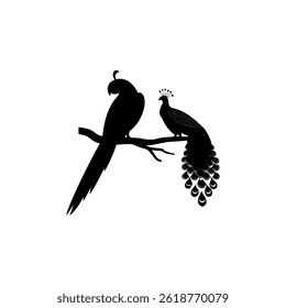a striking silhouette of a parrot and peacock perched on a branch, creating a captivating vector illustration perfect for graphic design projects