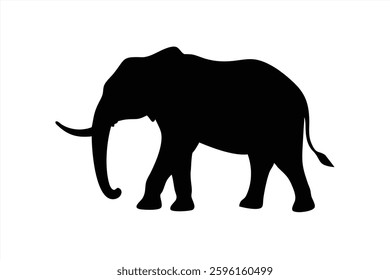 A striking vector illustration features a majestic elephant in a walking pose. The animal is depicted in solid black against a stark white backdrop, highlighting its form and grace.