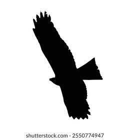 A striking vector silhouette of an eagle in flight, showcasing its impressive wingspan and dynamic grace. Ideal for wildlife-themed designs, educational materials, or branding projects.