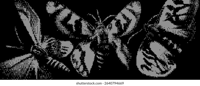 A striking visual displays three moths in various orientations, emphasizing their detailed wing patterns and textures. The monochrome style highlights the of the insects. Bitmap pixel bg