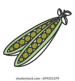 string bean fresh isolated icon