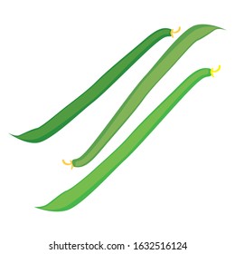 string beans, vector graphics, useful vegetables