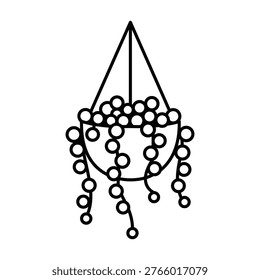 String pearls hanging plant