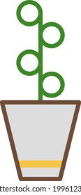 String of pearls plant in pot, illustration, on a white background.