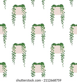 String of pearls. Vector seamless pattern of a houseplant in a pot on a white background.