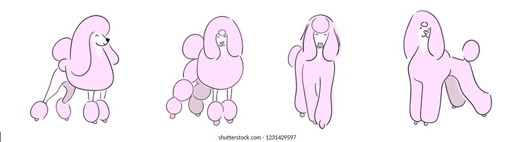 A strip of dogs of the breed poodle. Row of dogs. Pattern of funny pink doggie.