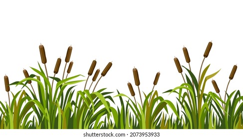 Strip of swamp cattails. Marsh reed, grass. Vector bulrush for computer games isolated on white background.
