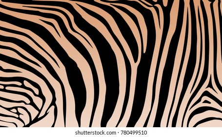 stripe animal jungle texture zebra vector black white beige