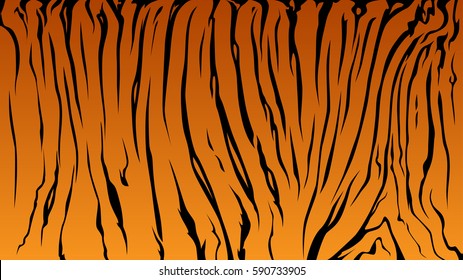 stripe animals jungle bengal tiger fur texture pattern orange black