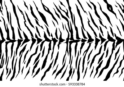 stripe animals jungle bengal tiger fur texture pattern seamless repeating white black