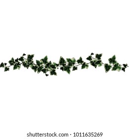 stripe of eel with leaves seamless with two sides, sketch vector graphics color picture