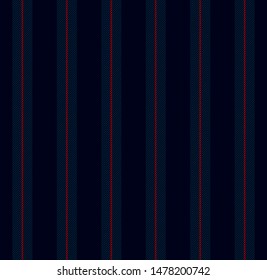 Stripe and rope seamless pattern with navy blue and red colors vertical parallel stripes.Vector abstract background.