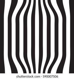 Striped abstract background. black and white zebra print. Vector illustration. eps10