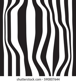 Striped abstract background. black and white zebra print. Vector illustration. eps10