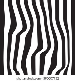 Striped abstract background. black and white zebra print. Vector illustration. eps10