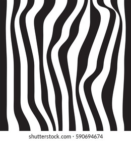 Striped abstract background. black and white zebra print. Vector illustration. eps10.