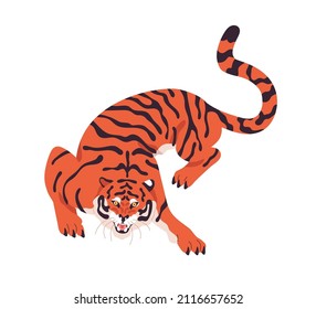 Striped Amur tiger crawling and roaring. Aggressive wild cat crouching. Angry predator looking and walking. Carnivor feline animal attacking. Flat vector illustration isolated on white background