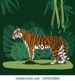 Striped Asian tiger among bamboo thickets and monstera leaves. Vector illustration on a colored background. Flat design.