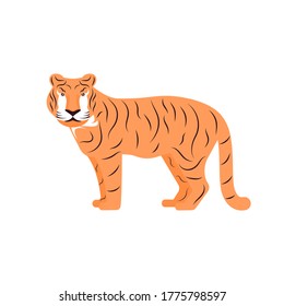 Striped, Asian tiger. Vector illustration on a white background. Flat design.
