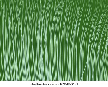 Striped Background. Feather Texture. Lines Wallpaper. Striped Background for Fabric, Tile, Web Design, Packaging Paper, Textile, Illustrations, Presentation, Banner. High Grass.