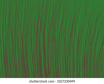 Striped Background. Feather Texture. Lines Wallpaper. Striped Background for Fabric, Tile, Web Design, Packaging Paper, Textile, Illustrations, Presentation, Banner. High Grass.