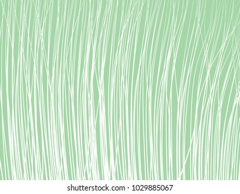 Striped Background. Feather Texture. Lines Wallpaper. Striped Background for Fabric, Tile, Web Design, Packaging Paper, Textile, Illustrations, Presentation, Banner. High Grass.