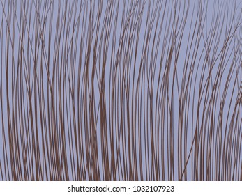 Striped Background. Feather Texture. Lines Wallpaper. Striped Background for Fabric, Tile, Web Design, Packaging Paper, Textile, Illustrations, Presentation, Banner. High Grass.