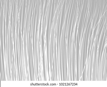 Striped Background. Lines. Feather Texture. Lines Wallpaper. Striped Background for Wallpaper, Fabric, Tile, Web Design, Packaging Paper, Textile, Illustrations, Presentation, Banner. High Grass.
