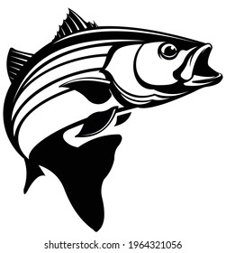 Striped Bass Fish Logo, Great and Unique Striped bass fish Jumping out of the water. Great to use as your striped bass fishing activity. 