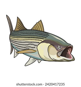 striped bass fishing illustration logo vector image t shirt