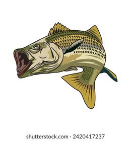 striped bass fishing illustration logo vector image t shirt