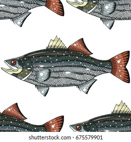 striped bass pattern