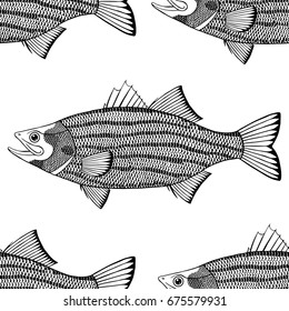 striped bass pattern