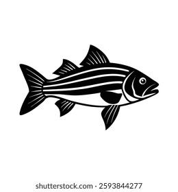 Striped Bass Silhouette Vector | Black Striped Bass Fish Illustration Design