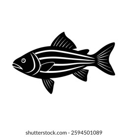 Striped Bass Silhouette Vector | Black Striped Bass Fish Illustration Design