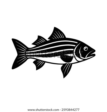Striped Bass Silhouette Vector | Black Striped Bass Fish Illustration Design