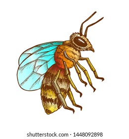 Striped Bee Flying Insect Animal Side View Vector. Bee Swarm Is Large Group Of Pollinators In Ecosystem And Important In Agriculture Sphere. Color Illustration